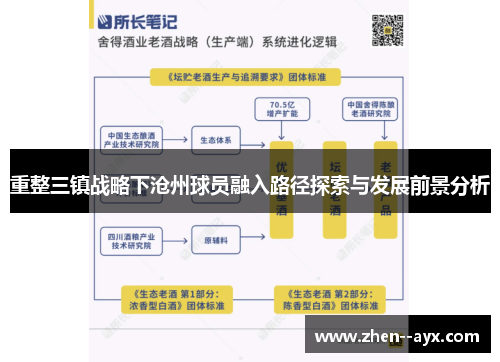 重整三镇战略下沧州球员融入路径探索与发展前景分析 重整三镇战略下沧州球员融入路径探索与发展前景分析