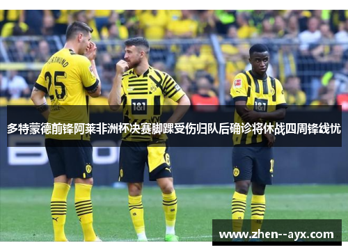 多特蒙德前锋阿莱非洲杯决赛脚踝受伤归队后确诊将休战四周锋线忧